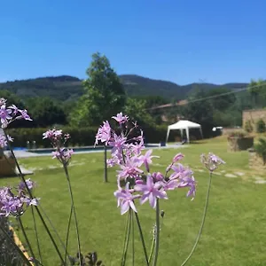 Bed & Breakfast Alba Morus Sentiti A Casa Nel Cuo, Arezzo